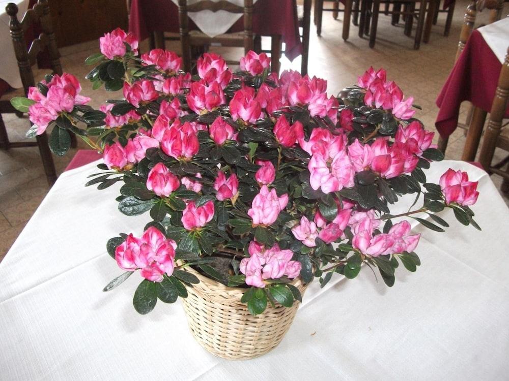 Hotel Breglia Lake Como ภายนอก รูปภาพ